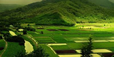 Hisseli Arsa Satın Alırken Dikkat Edilmesi Gereken 5 Önemli Kural!