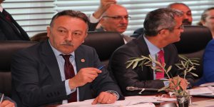 Tacettin Bayır: Zeytinliklerin İmara Açılmasının Karşısında Olacağız