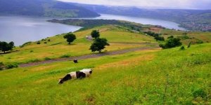 51 Büyük Ova Koruma Alanı Olarak Belirledi!