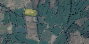 Ödemiş Belediyesi'nden 103 Bin TL'ye Satılık Tarla