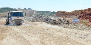 Hafriyat Sahası Çam Ormanına Dönüşecek