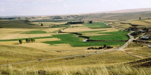 2018'de Arsa ve Arazi Alanlar Ne Kadar Tapu Harcı Ödeyecek?