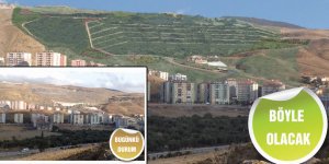 Harmandalı'nda 37 Hektarlık Alan Yeşillendirilecek