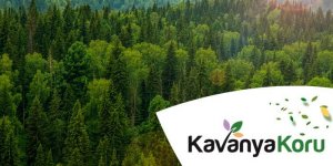 Kavanya Koru Fiyat!